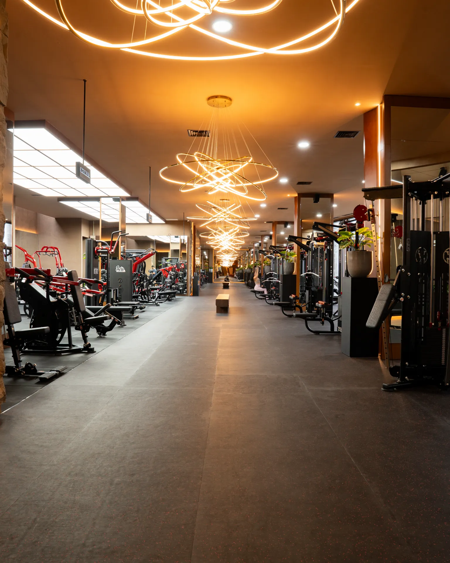 The gym at Reload Sanctuary